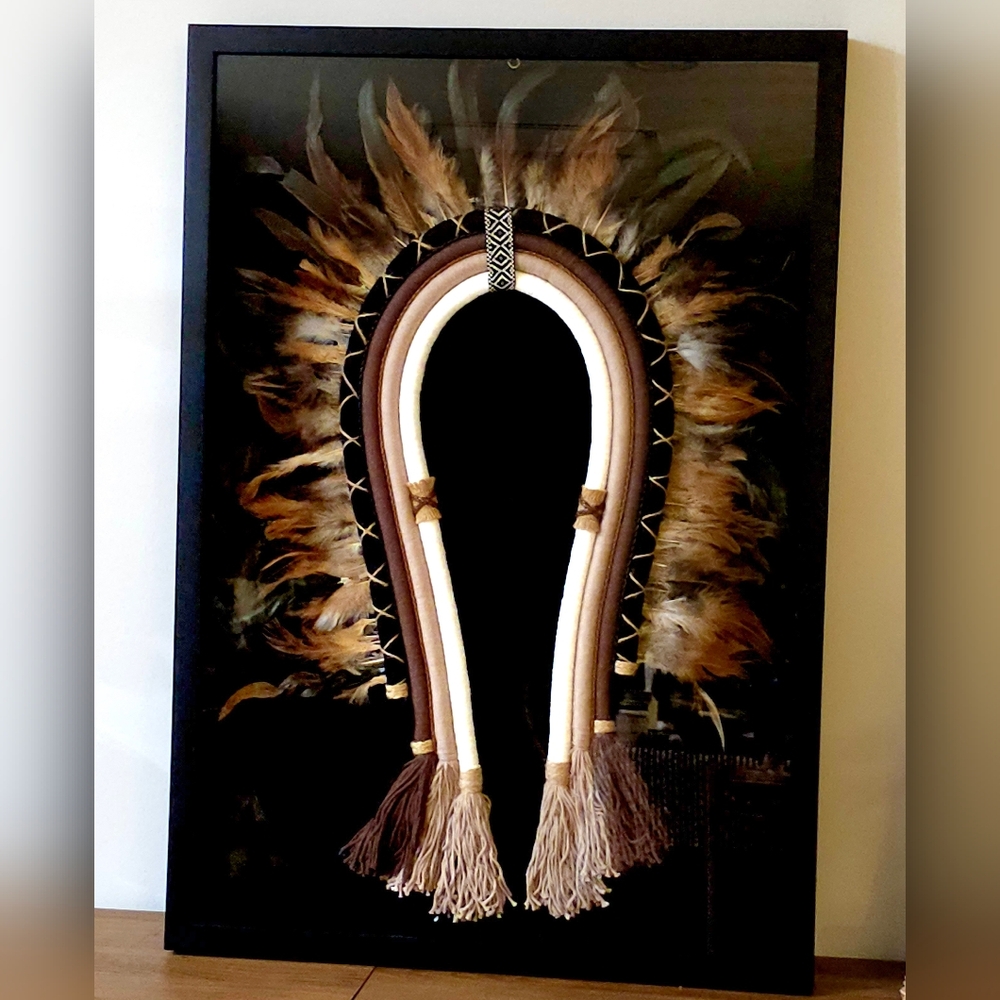 Feathered Headdress Wall Decor Cocar With Frame